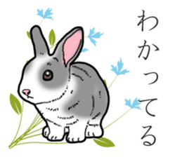 Fluffy wild rabbit 2 sticker #13707961