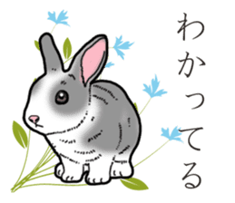 Fluffy wild rabbit 2 sticker #13707961