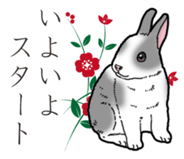 Fluffy wild rabbit 2 sticker #13707963
