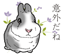 Fluffy wild rabbit 2 sticker #13707964