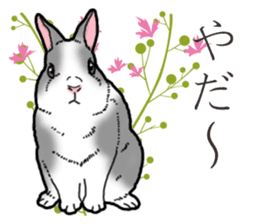 Fluffy wild rabbit 2 sticker #13707965