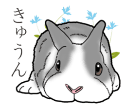 Fluffy wild rabbit 2 sticker #13707967