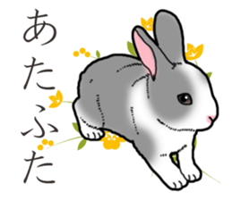 Fluffy wild rabbit 2 sticker #13707968