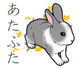 Fluffy wild rabbit 2 sticker #13707968