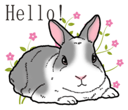 Fluffy wild rabbit 2 sticker #13707969