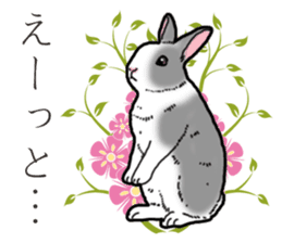 Fluffy wild rabbit 2 sticker #13707970