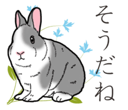 Fluffy wild rabbit 2 sticker #13707972