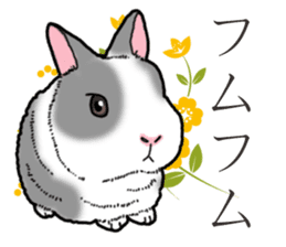 Fluffy wild rabbit 2 sticker #13707973