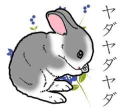 Fluffy wild rabbit 2 sticker #13707974