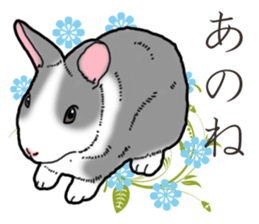 Fluffy wild rabbit 2 sticker #13707975