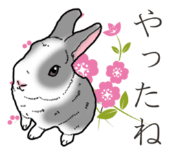 Fluffy wild rabbit 2 sticker #13707976