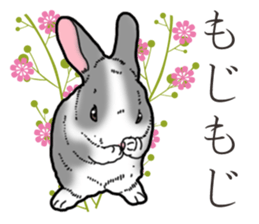 Fluffy wild rabbit 2 sticker #13707977