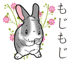 Fluffy wild rabbit 2 sticker #13707977