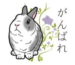 Fluffy wild rabbit 2 sticker #13707979