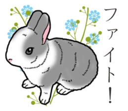 Fluffy wild rabbit 2 sticker #13707981