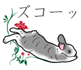 Fluffy wild rabbit 2 sticker #13707984