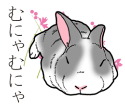 Fluffy wild rabbit 2 sticker #13707988