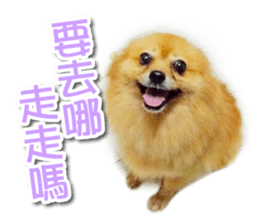 PET IN HOUSE sticker #13708750