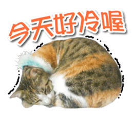 PET IN HOUSE sticker #13708753
