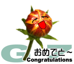 Mahsa's Cosmos bud sticker #13709633