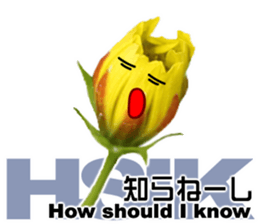 Mahsa's Cosmos bud sticker #13709634