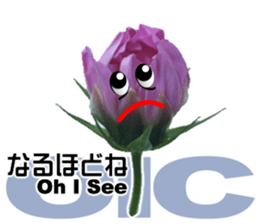 Mahsa's Cosmos bud sticker #13709639