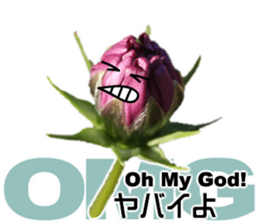 Mahsa's Cosmos bud sticker #13709641