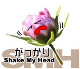 Mahsa's Cosmos bud sticker #13709643