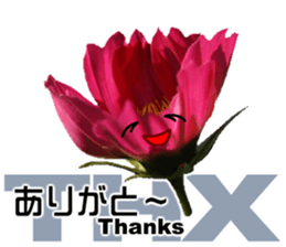 Mahsa's Cosmos bud sticker #13709644