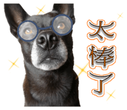 A Black Album-2 sticker #13709766