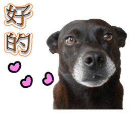 A Black Album-2 sticker #13709767