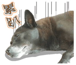 A Black Album-2 sticker #13709768