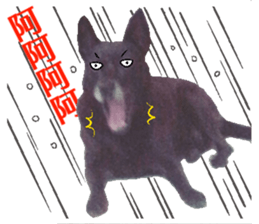 A Black Album-2 sticker #13709769