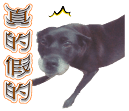 A Black Album-2 sticker #13709770