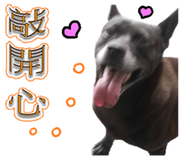 A Black Album-2 sticker #13709771