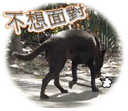 A Black Album-2 sticker #13709772