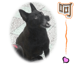 A Black Album-2 sticker #13709773