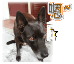 A Black Album-2 sticker #13709774