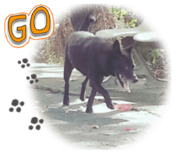 A Black Album-2 sticker #13709776