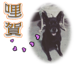 A Black Album-2 sticker #13709778