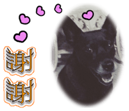 A Black Album-2 sticker #13709779