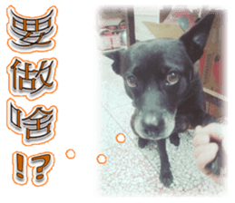 A Black Album-2 sticker #13709780