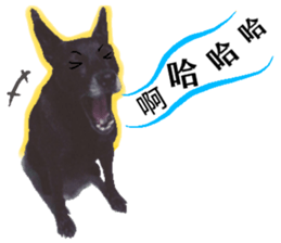 A Black Album-2 sticker #13709781