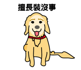 old A-di dog sticker #13709846