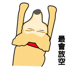 old A-di dog sticker #13709847