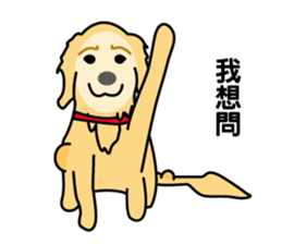 old A-di dog sticker #13709848