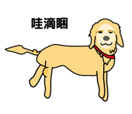 old A-di dog sticker #13709849