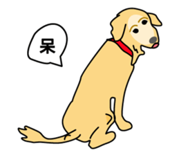 old A-di dog sticker #13709854