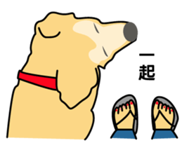 old A-di dog sticker #13709856