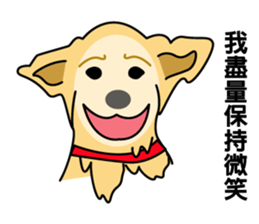 old A-di dog sticker #13709858